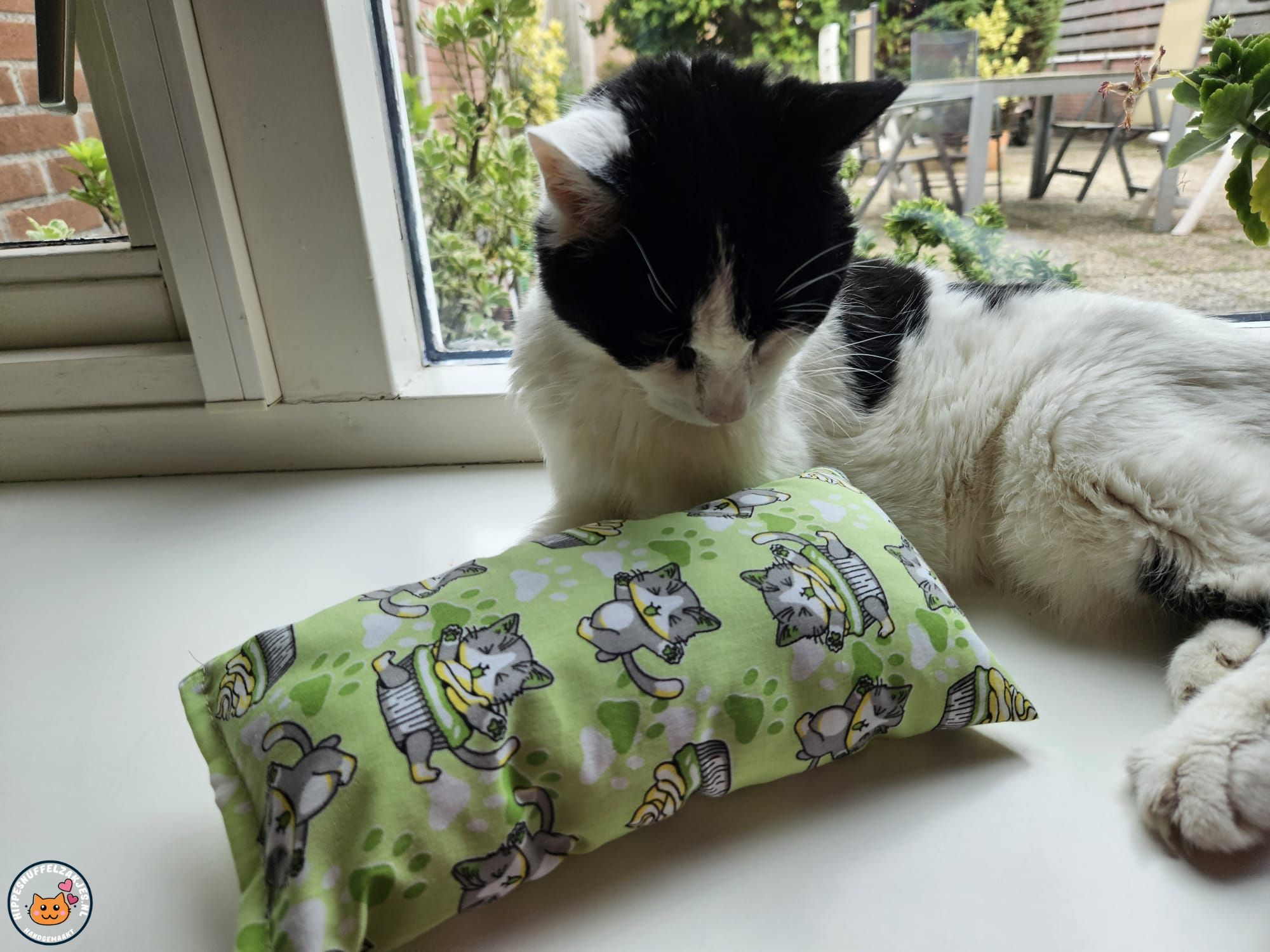 Slaap/speelkussen Cupcake Cat groen (gevuld met catnip)