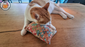 Slaap/speelkussen Ibiza zomer (gevuld met catnip én valeriaan)