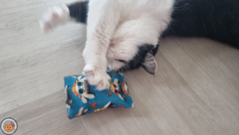NIEUW/ Snuffelzakje Vrolijke schildpad (gevuld met catnip én valeriaan)