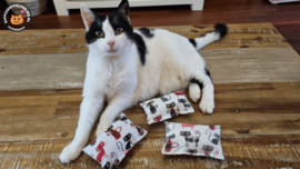 Starterspakket snuffelzakjes Deftige kat (gevuld met matatabi én catnip)+ 2 cadeautjes