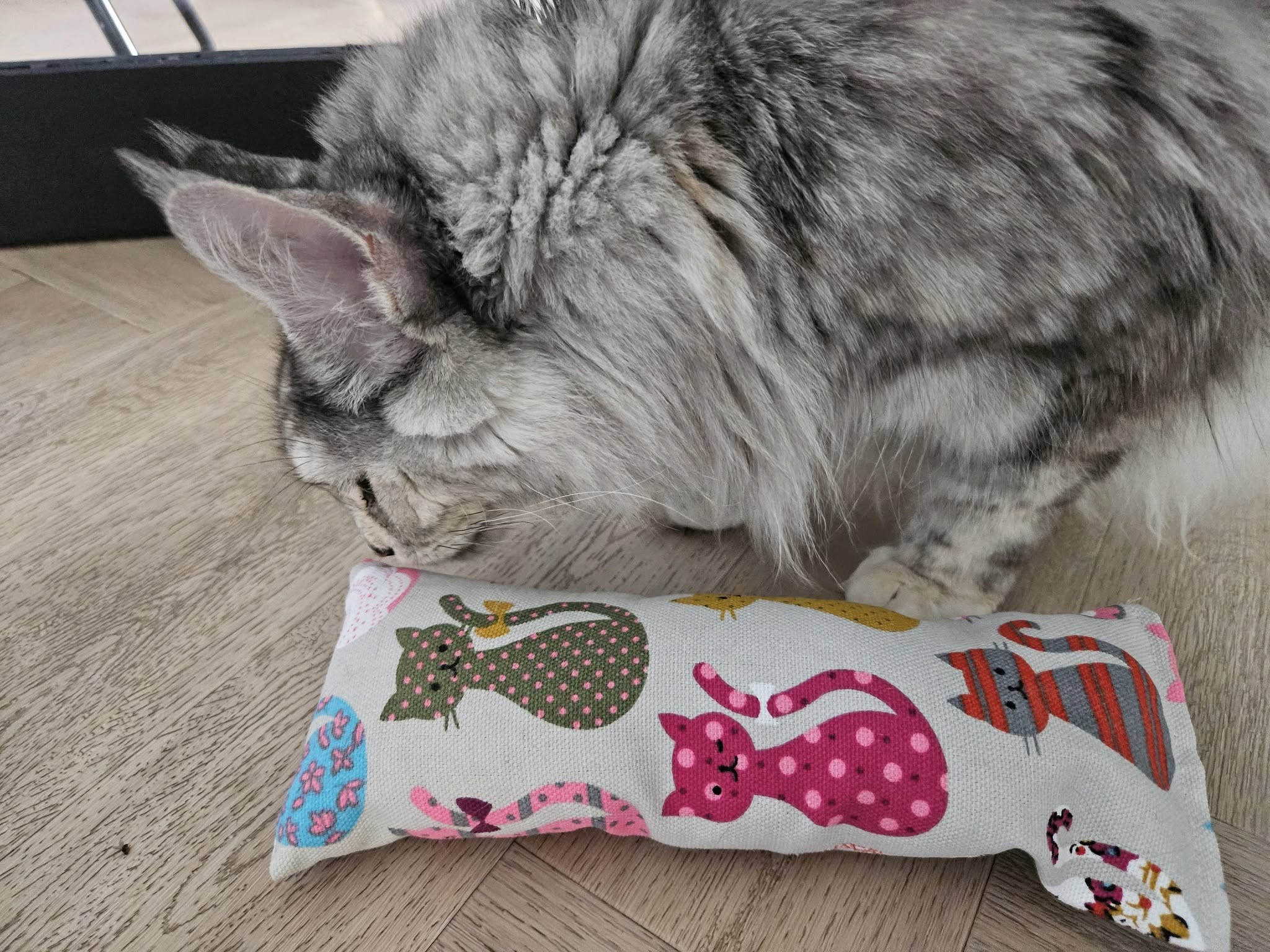 Snuffelzakje Gym XXL – Voor stoere katten met spierballen 🐾( Gevuld met dubbele matatabi)