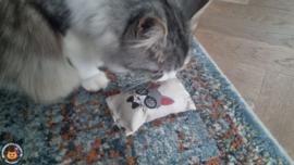 Snuffelzakje Extra stevige stof (gevuld met geurexplosie)