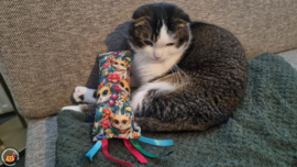 NIEUW/ Snuffelzakje gym Happy cats met lintjes (gevuld met matatabi)