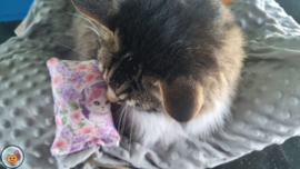 NIEUW/ Snuffelzakje Beautiful (gevuld met matatabi en catnip)