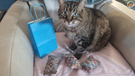 EXTRA STEVIGE STOF/ 3 delige Kadopakket snuffelzakjes Ibiza(gevuld met catnip, valeriaan en matatabi)