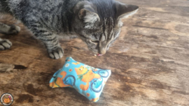 NIEUW/ Snuffelzakje Lieve Daisy(gevuld met matatabi en catnip)
