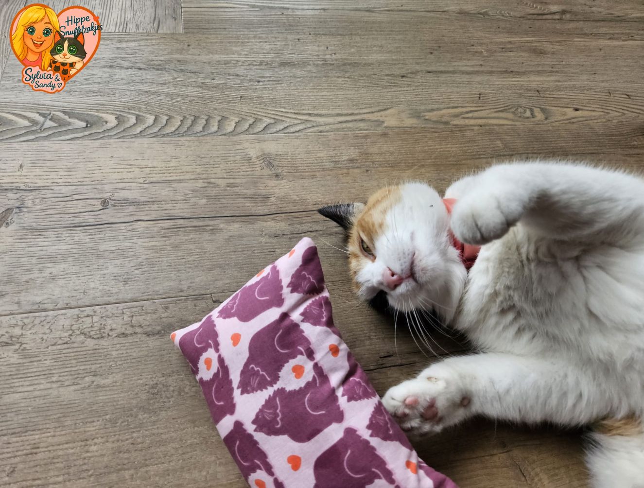 NIEUW/ Slaap/speelkussen Verliefde katten (gevuld met matatabi)