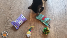 DAGACTIE 2 delige set snuffelzakjes verrassing ( gevuld met catnip) + 2 cadeautjes