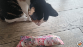 NIEUW/ Snuffelzakje gym Fantasy cats roze (gevuld met catnip  én valeriaan)