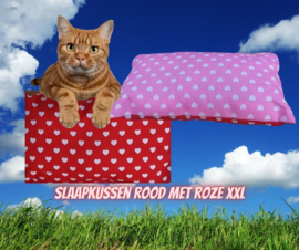 AANBIEDING Dubbelzijdig Speel/slaapkussen Hartjes roze/rood (gevuld met catnip én valeriaan)