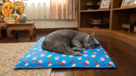 Blauw Kattenkleed met Kat & IJsjesprint – Zacht & Speels Ligplekje (50x50 cm) ZONDER GEUR