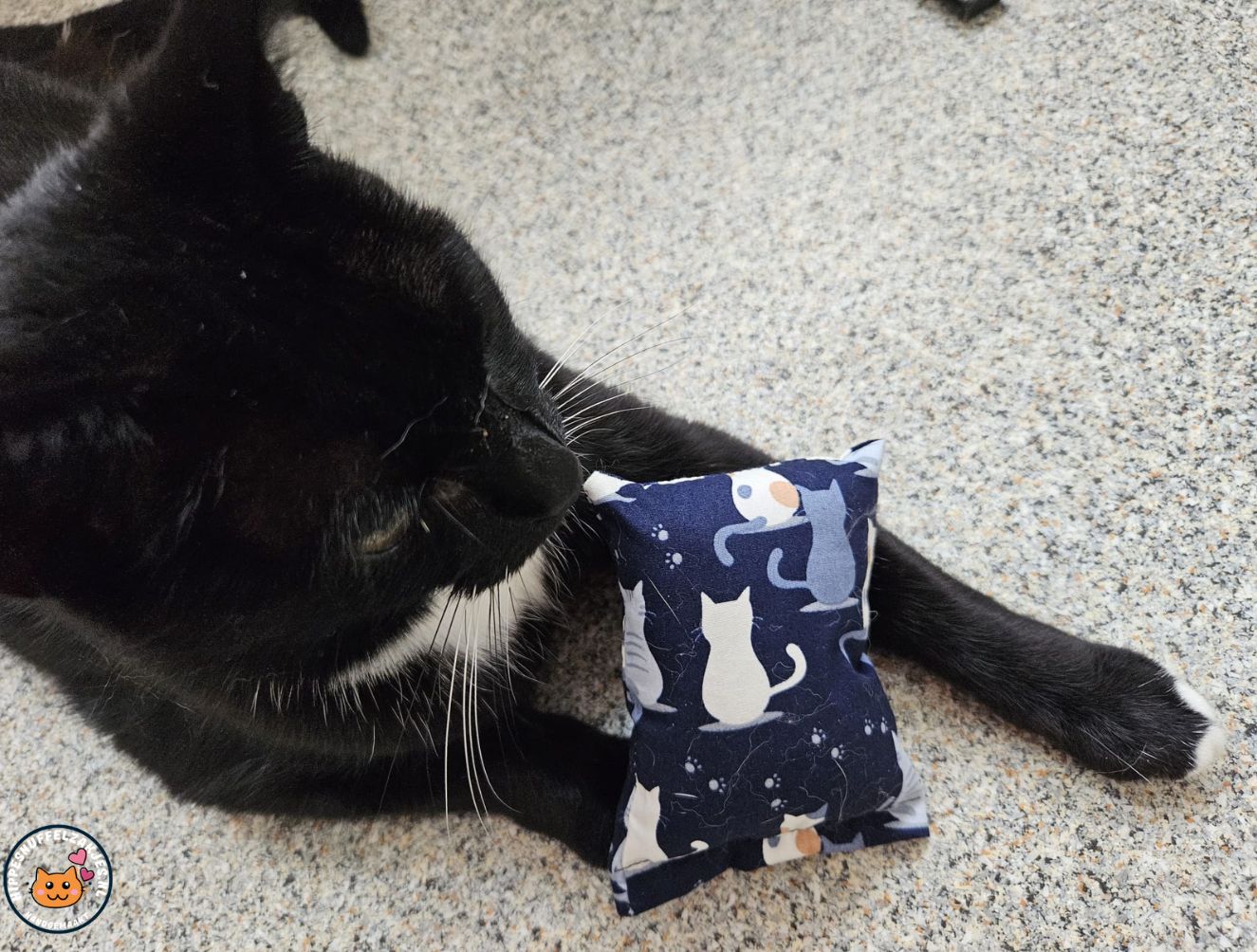 NIEUW/ Snuffelzakje prachige Kat (gevuld met catnip)