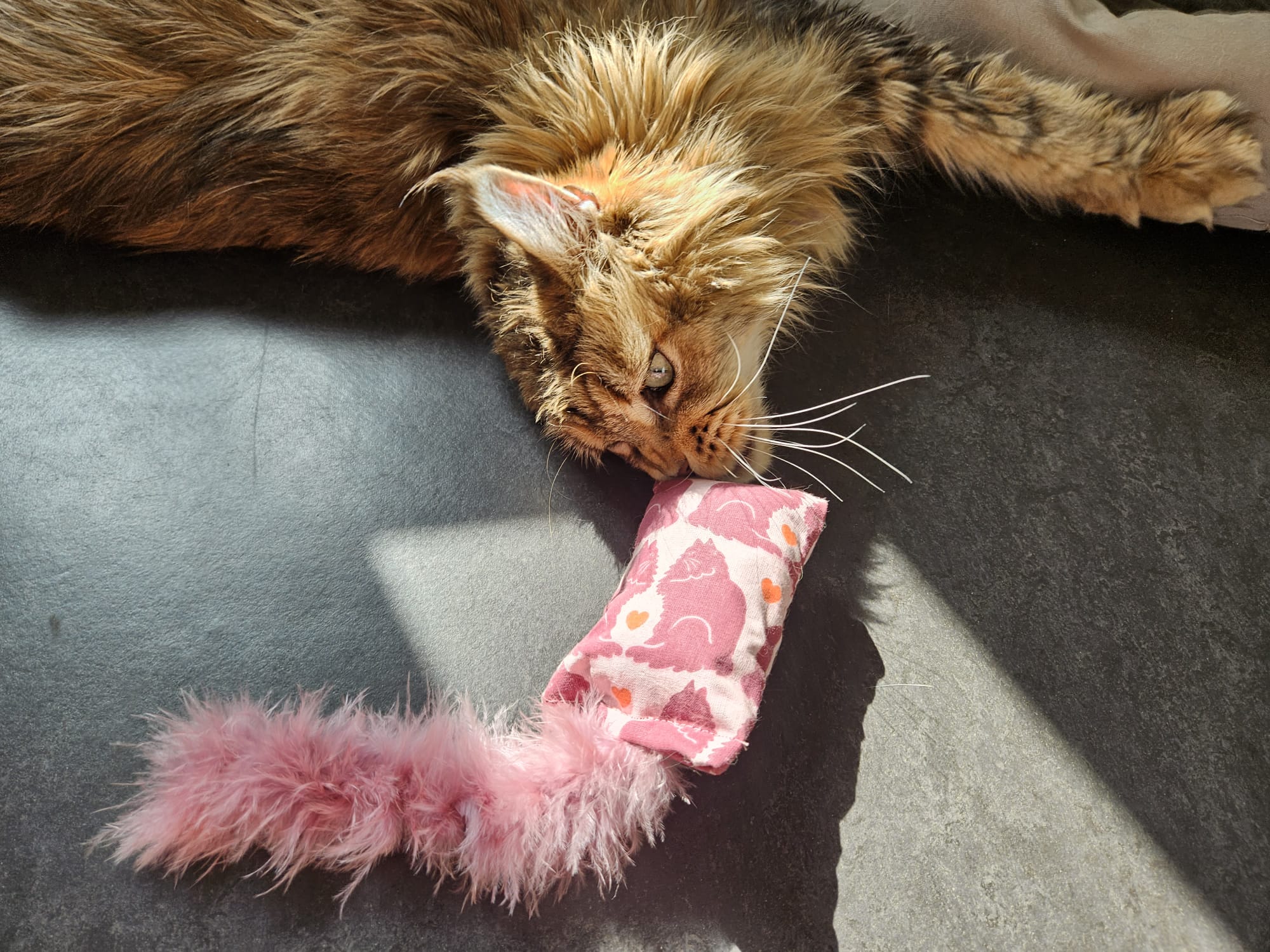 NIEUW/ Snuffelzakje  Verliefde katten met staart (gevuld met geurexplosie)