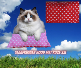 AANBIEDING Dubbelzijdig Speel/slaapkussen Hartjes roze/rood (gevuld met catnip én valeriaan)