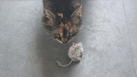 🐭 Grijs muisje met catnip – kleine muis, groot speelplezier!