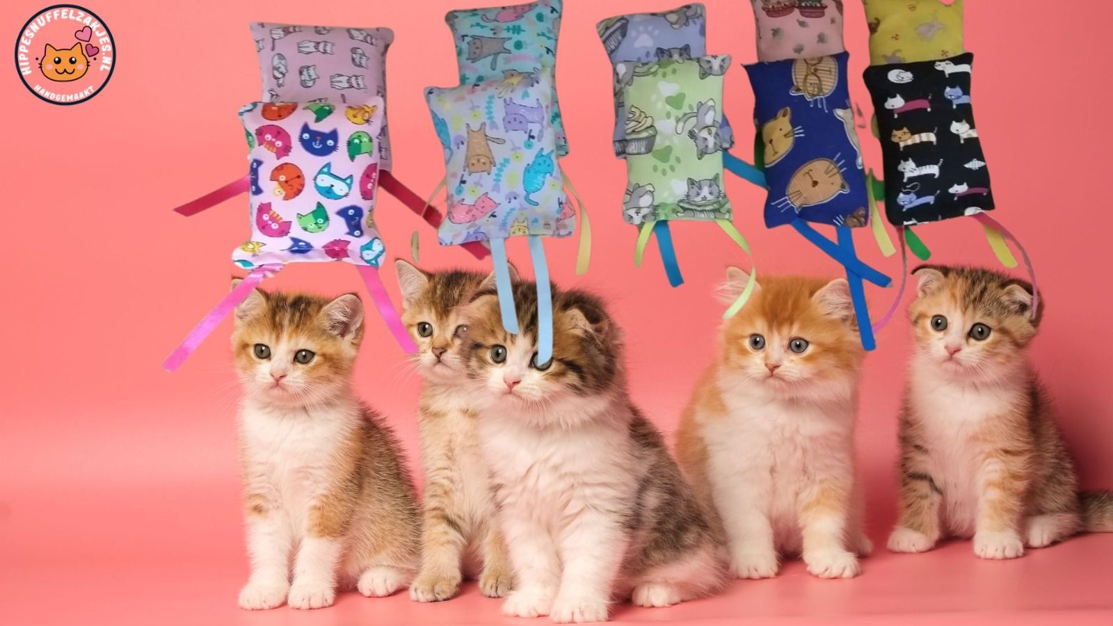 10 snuffelzakjes Katten met lintjes (gevuld met valeriaan)