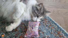NIEUW/ Snuffelzakje Beautiful (gevuld met matatabi en catnip)