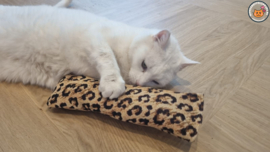 GEMAAKT VAN EXTRA STEVIGE STOF Snuffelzak Gym XXl Stevige panter (gevuld met catnip én valeriaan)