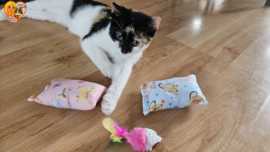 Geurexplosie Duo voor Kitten โ Set van 2 Snuffelzakjes met Knisper & Belletje ๐ป๐๐ฅ