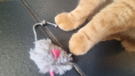 🐭 Grijs muisje met catnip – kleine muis, groot speelplezier!