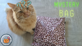 XL Mystery bag (gevuld met meerdere geuren)