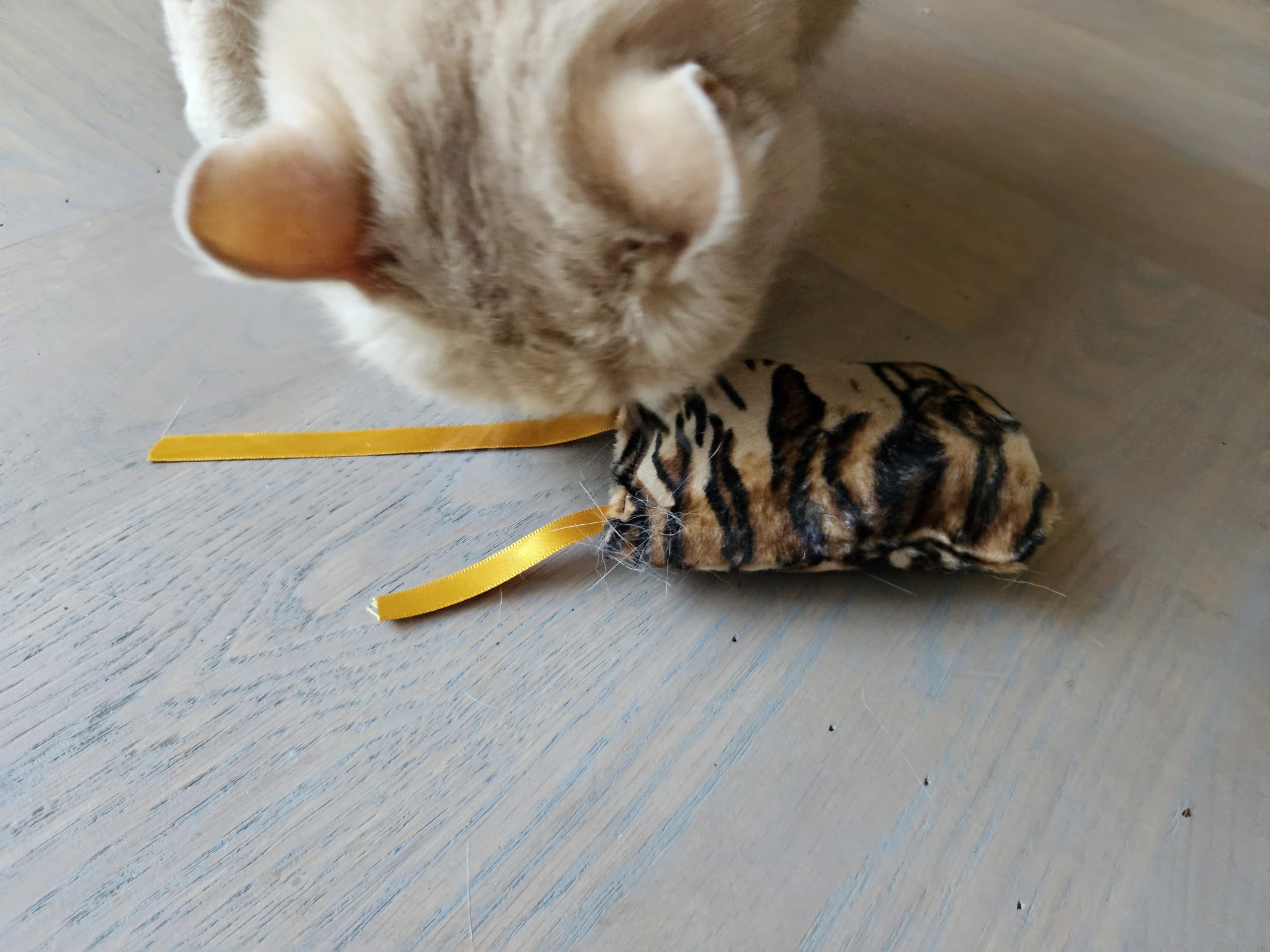 NIEUW/ Snuffelzakje  Wild animals met lintjes (gevuld met valeriaan)