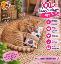 AANBIEDING😻 GROOT KATTENSPEELGOED 😻 Slaap & Speelkussen met Catnip, Valeriaan en Matatabi 🐾💤