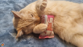 NIEUW/ Snuffelzakje Pink panther (gevuld met catnip én valeriaan)
