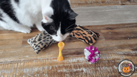 DAGACTIE 2 delige set snuffelzakjes Verrassing Wild animals (gevuld met matatabi) + 2 cadeautjes