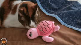 Snuffelschildpad roze (gevuld met catnip én valeriaan)