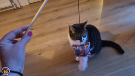 Pakmedan Fantasy Cats met roze staart (gevuld met geurexplosie, knisper en belletje)