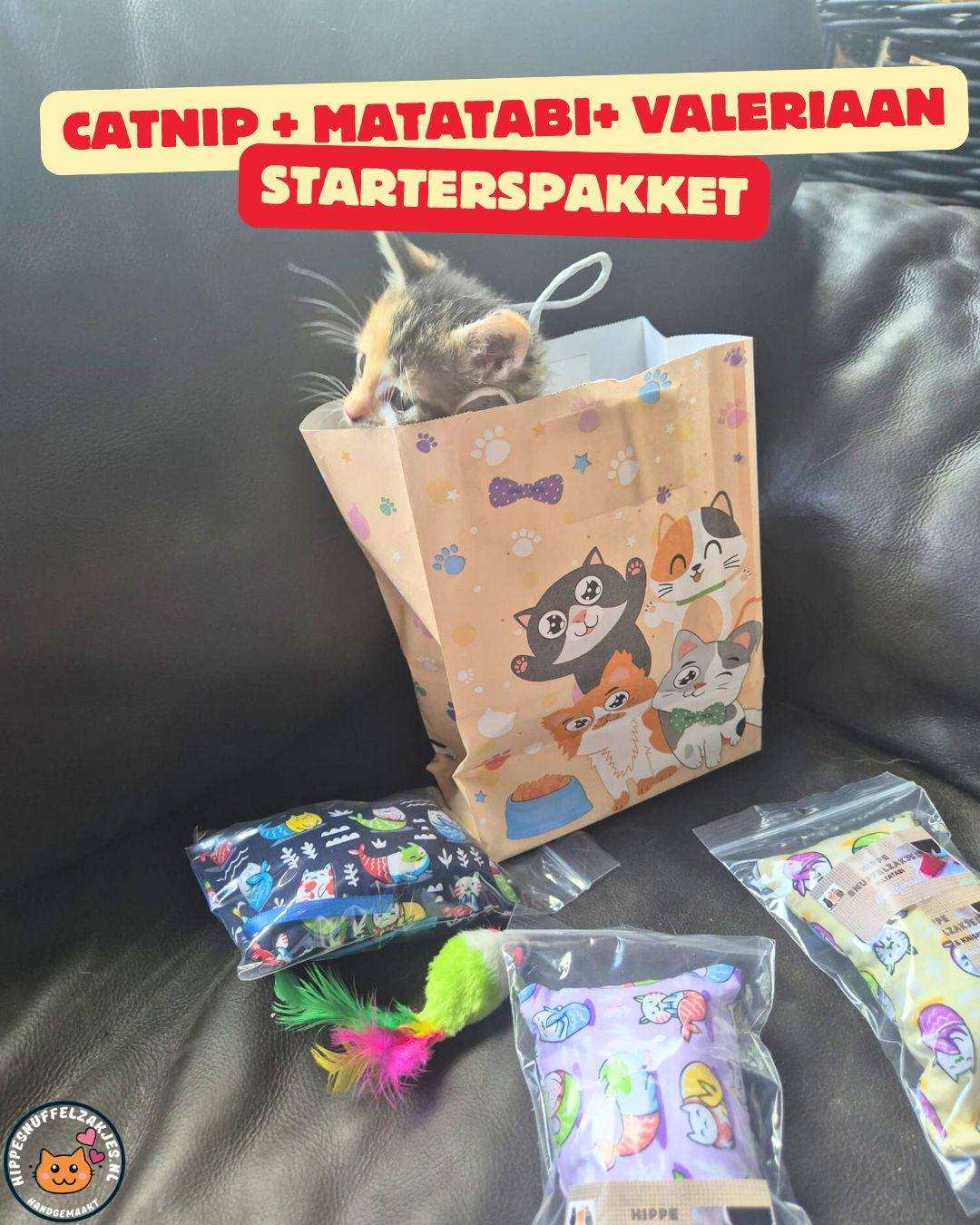 💛4delige Kittenpakket ‘Snuffel & Spel’ – Speciaal samengesteld door Catlady Sylvia 💛
