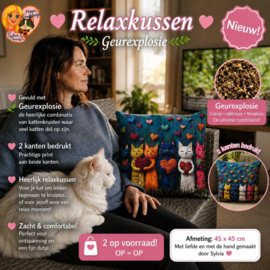 🆕😻 NIEUW: RELAXKUSSEN – GEUREXPLOSIE
