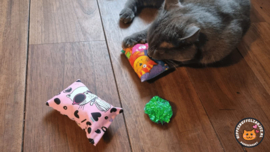 2 delige set snuffelzakjes Verrassing (gevuld met catnip en valeriaan) + 2 cadeautjes