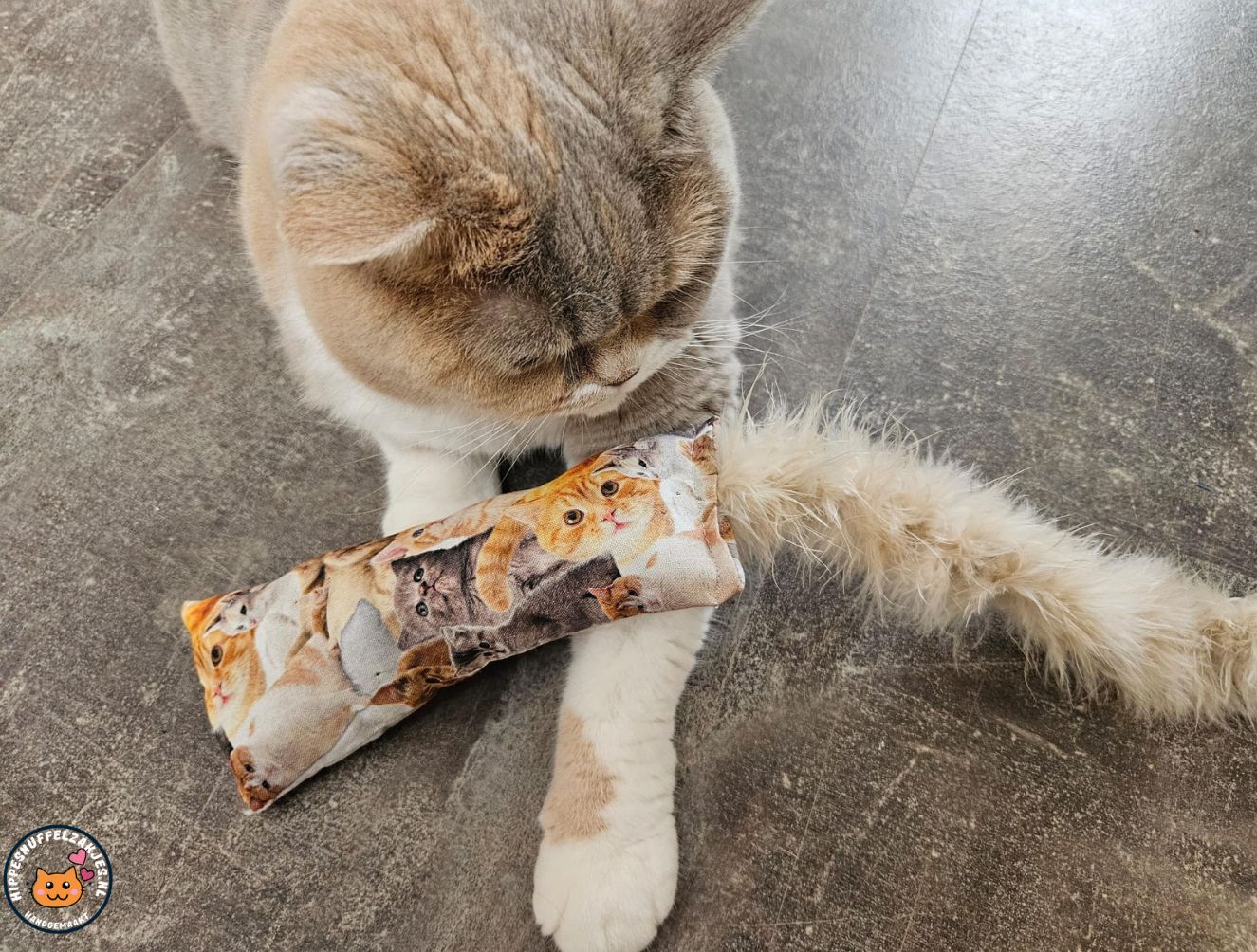 Snuffelzakje gym Knappe kat met staart (gevuld matatabi)