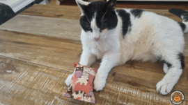 Snuffelzakje sterke Kat roze (gevuld met geurexplosie)
