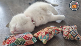 NIEUW/ 3 delige Kadopakket snuffelzakjes Ibiza(gevuld met geurexplosie)