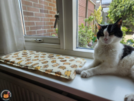 Vensterbankkussen Kat 26x60 (gevuld met matatabi)