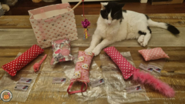 NIEUW/ 7 delige Mystery bag  Ultieme Experience Valentijn (vijf verschillende geuren, knisper, belletje, staart en lintjes)