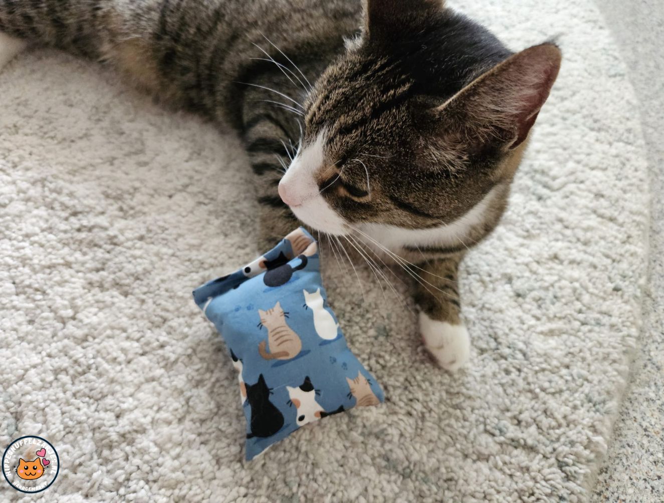 NIEUW/ Snuffelzakje prachige Kat (gevuld met catnip)