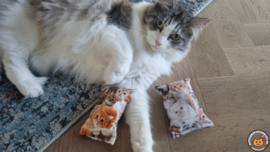 NIEUW/ 2 snuffelzakjes Knappe katten (gevuld met geurexplosie)