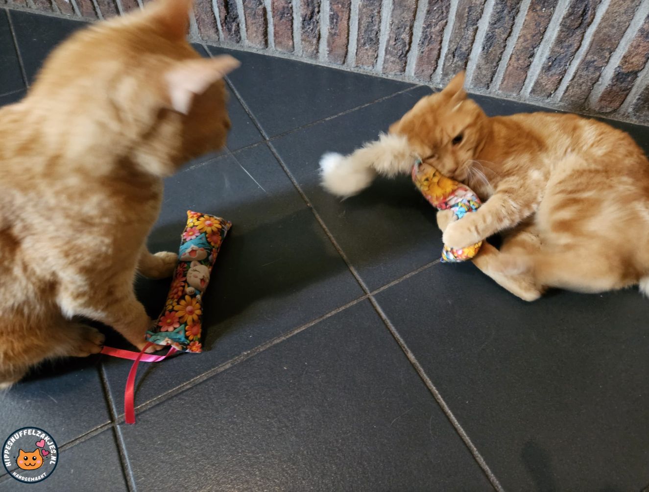 NIEUW/ Snuffelzakjeset Vrolijke kat met staart en lintjes (gevuld met catnip én  matatabi)