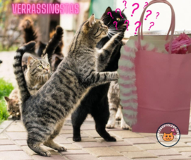 5delige Katten verrassingtas Thema roze  (geschikt voor 1 tot 4 katten)
