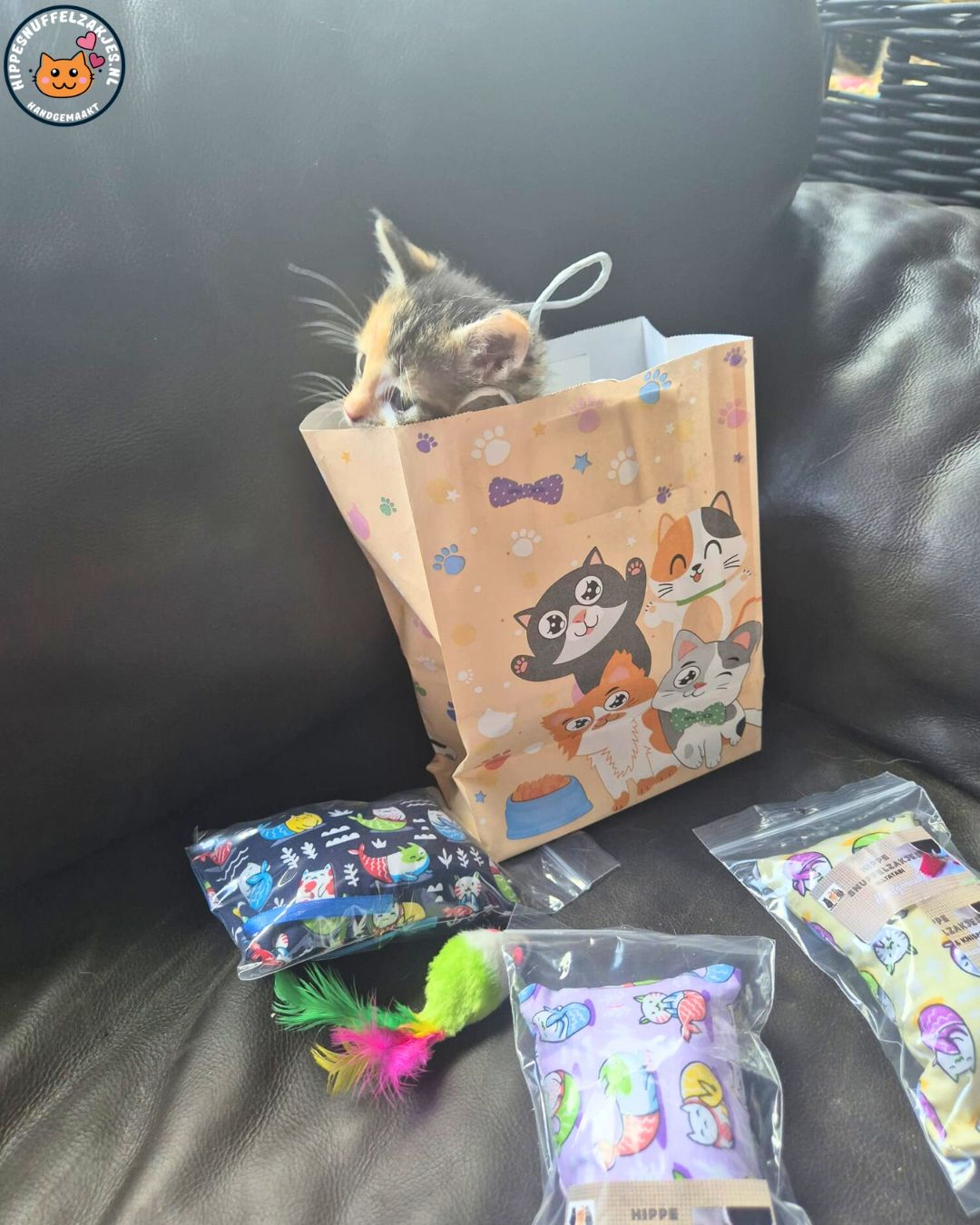 💛4delige Kittenpakket ‘Snuffel & Spel’ – Speciaal samengesteld door Catlady Sylvia 💛