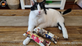 2 delige set snuffelzakjes gym Matching cats (gevuld met catnip en valeriaan)