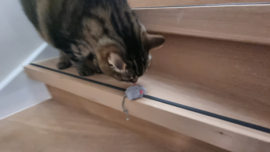 🐭 Grijs muisje met catnip – kleine muis, groot speelplezier!