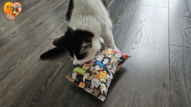 😻 GROOT KATTENSPEELGOED 😻 Slaap & Speelkussen met Matatabi🐾💤