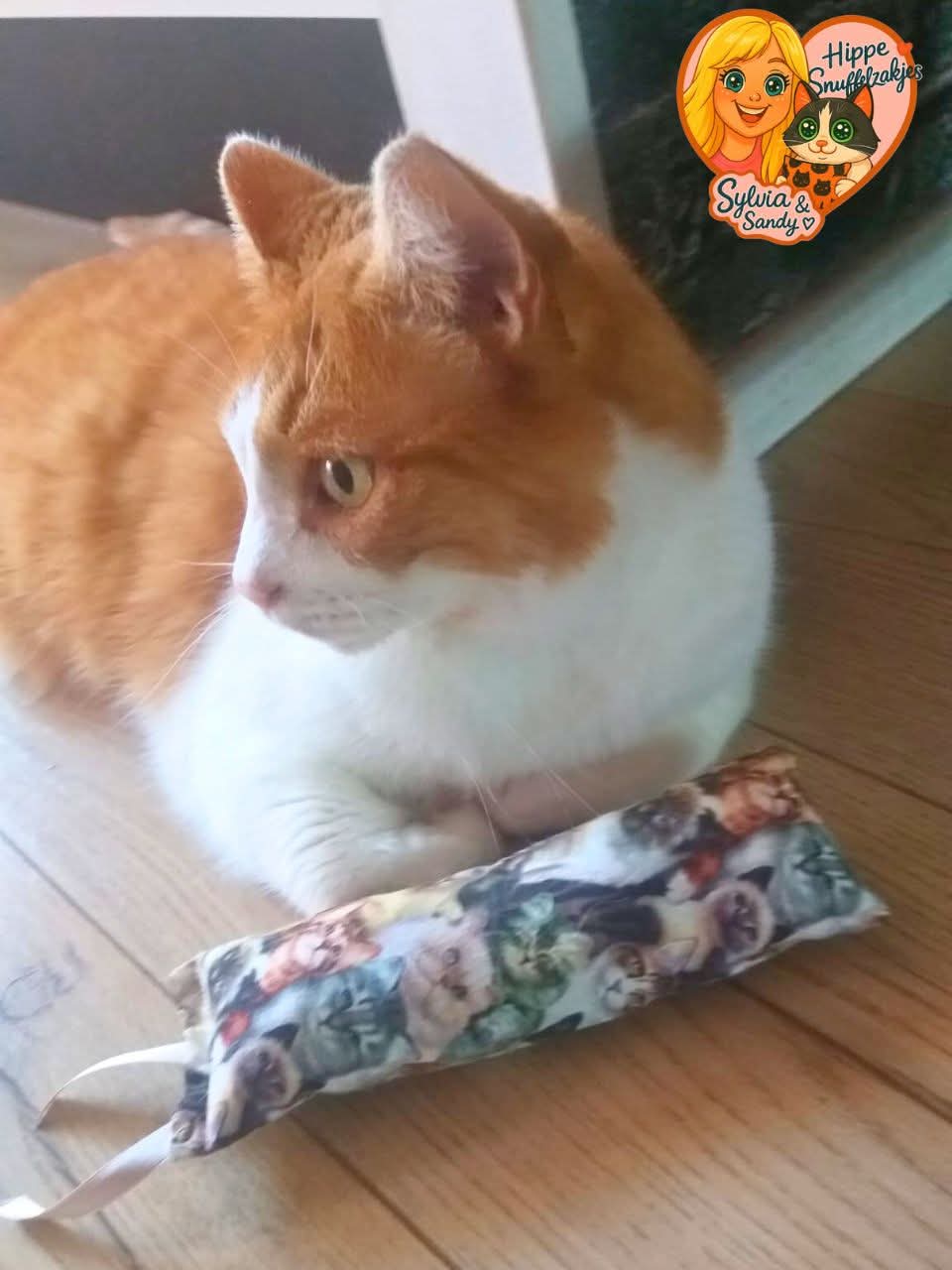 Snuffelzakje Gym knappe katten met lintjes (gevuld met geurexplosie, knisper en belletje)