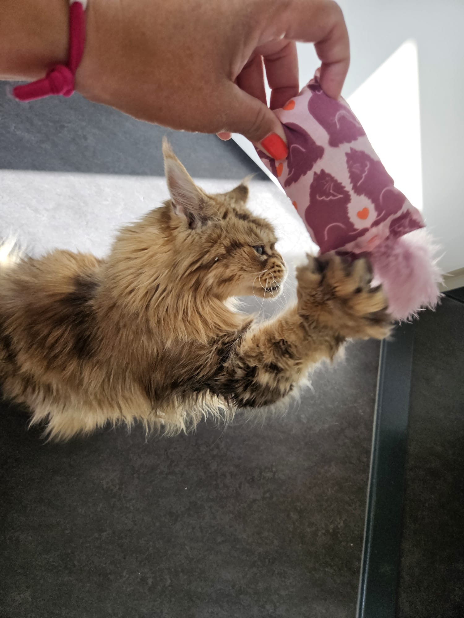 NIEUW/ Snuffelzakje  Verliefde katten met staart (gevuld met geurexplosie)