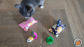 DAGACTIE 2 delige set snuffelzakjes verrassing ( gevuld met catnip) + 2 cadeautjes